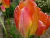 p1000207.jpg