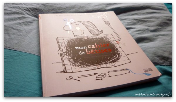 cahier_de_betises