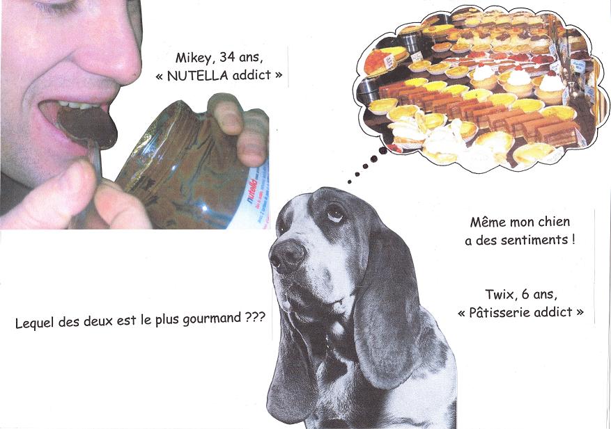 montage-gourmand