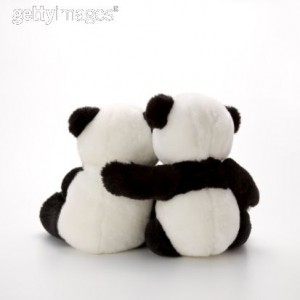 panda