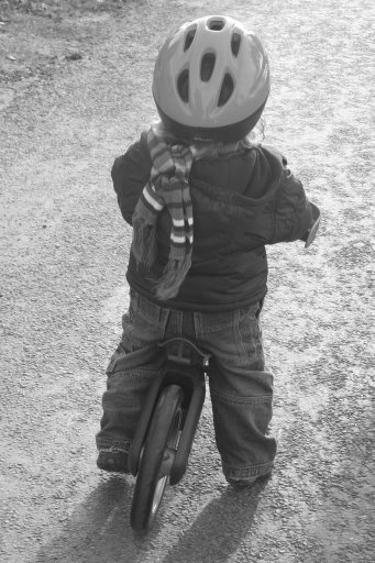 draisienne draisienne