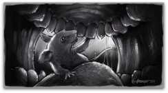 petite-souris