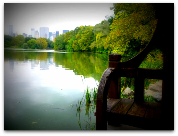 central parc new york