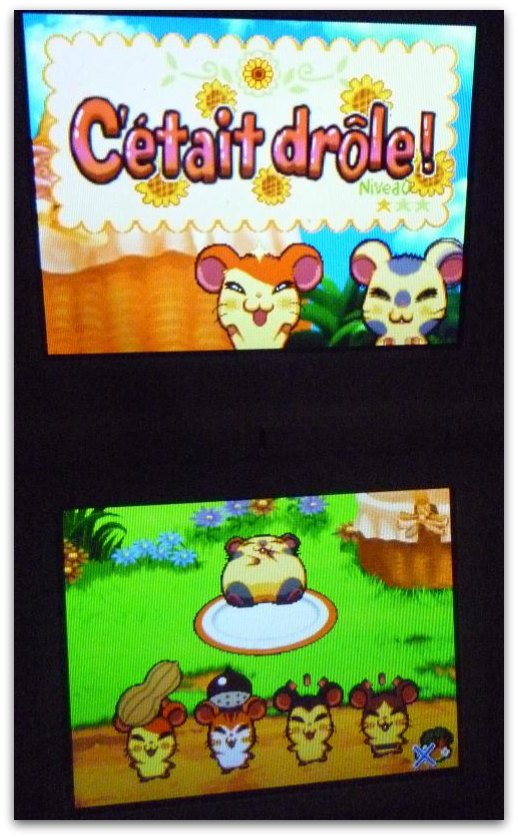 hamtaro