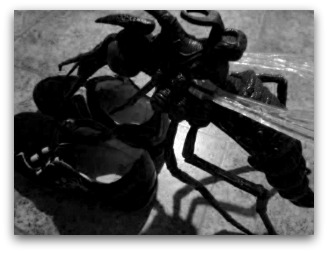 moustiques chaussures