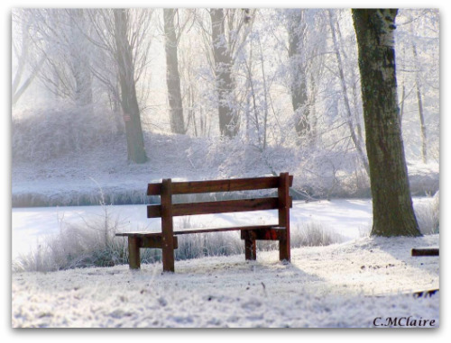 paysage-solitaire