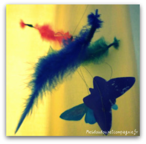 plumes2