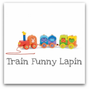 train funny lapin