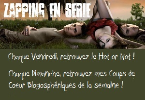 Mon blog télé