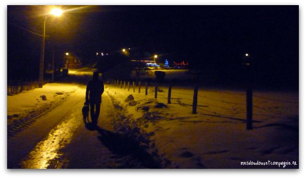 campagne-enneigee-aisne-02-noel-2010