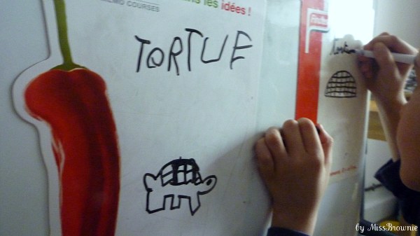 tortue-dessin tortue-dessin
