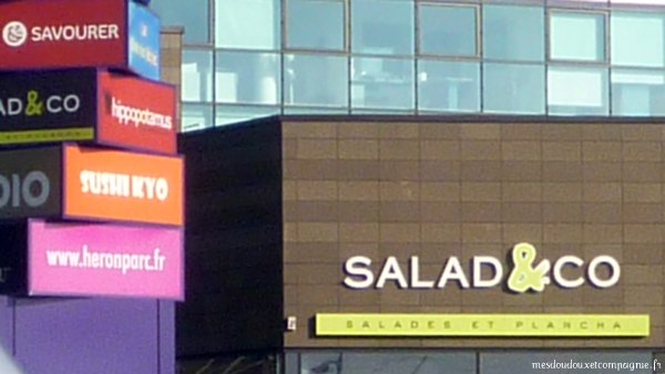 saladnco