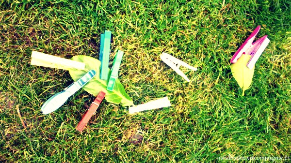 feuille-custo