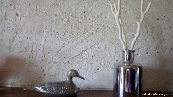 canard-etain
