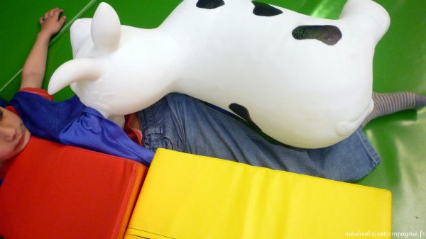 vache-sauteuse