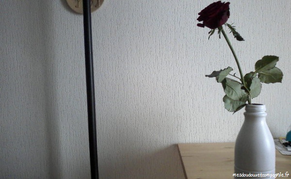 rose-dans-bouteille-de-lait