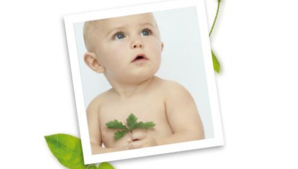un-arbre-un-bebe un-arbre-un-bebe