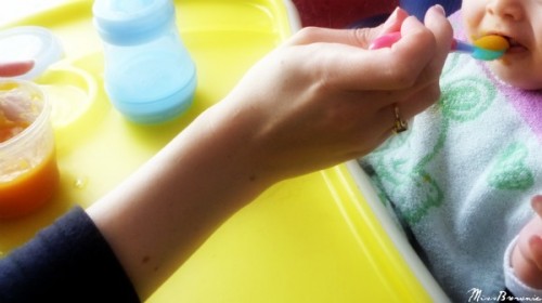 puree-bebe puree-bebe