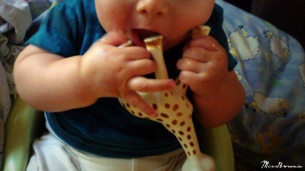 sophie-se-fait-manger-les-pattes sophie-se-fait-manger-les-pattes
