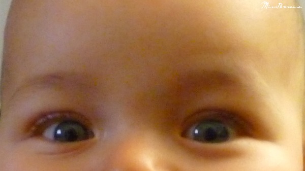 yeux-bleus-de-mon-bebe yeux-bleus-de-mon-bebe