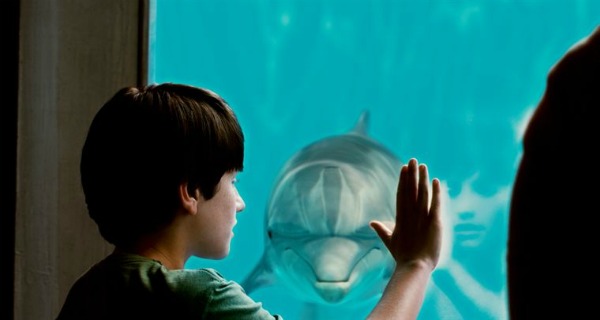 dolphin-tale