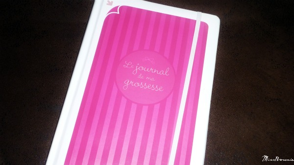 mon-journal-de-grossesse