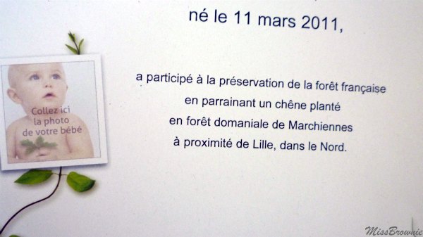 un arbre un bebe un arbre un bebe