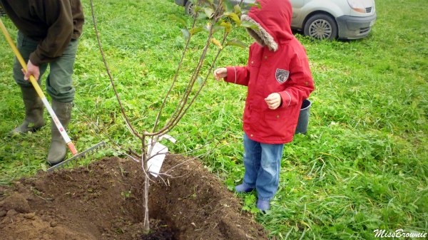 un enfant un arbre un enfant un arbre