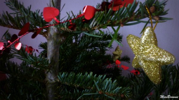 sapin-2011 sapin-2011