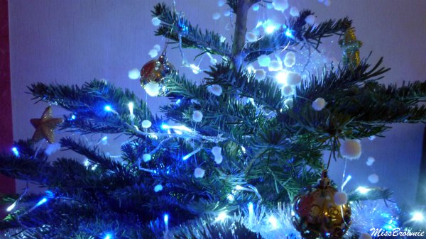 sapin-bleu sapin-bleu