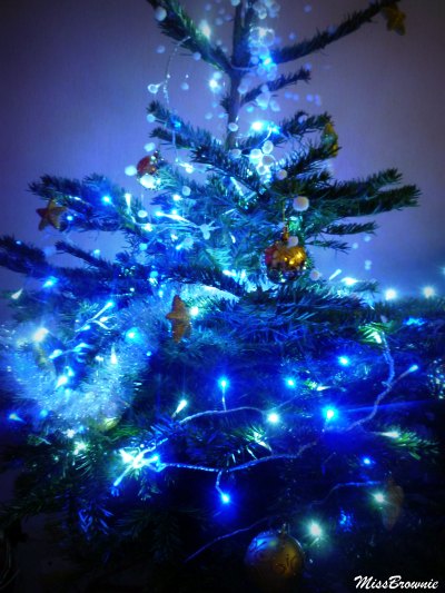 sapin version bleu eneige sapin version bleu eneige