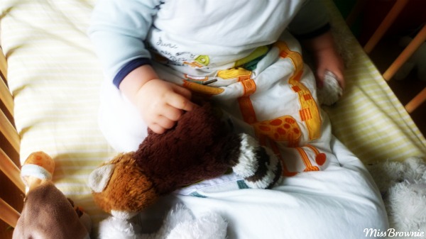 doudou-ratou