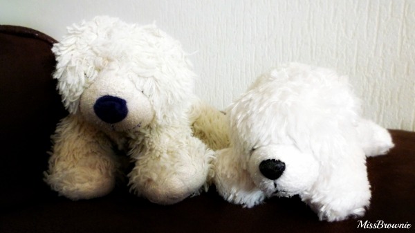 nounours-blanc
