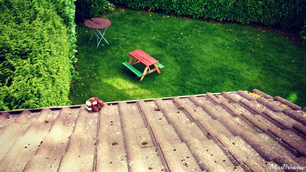 doudou-sur-le-toit