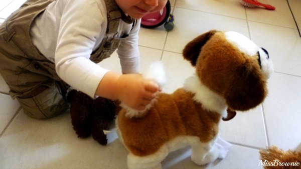 tirer-la-queue-du-chien