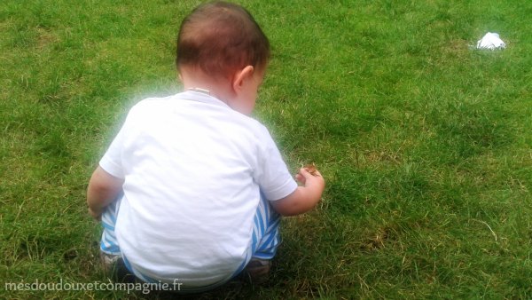 bebe-dans-herbe