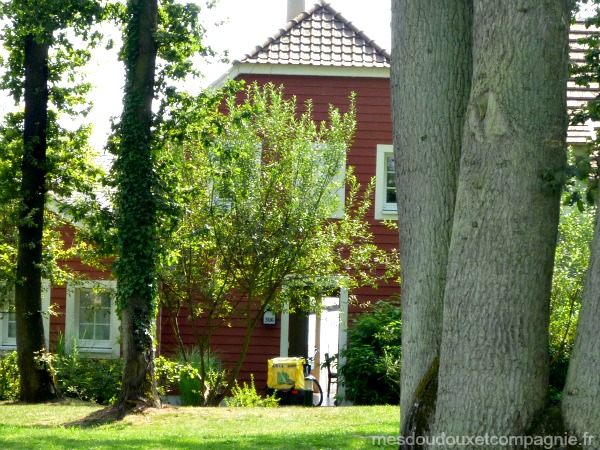 cottage-premium-6-pers-center-parcs-ailette