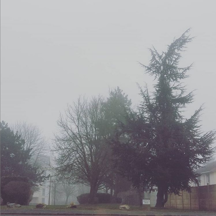 brouillard semaine 8 2019