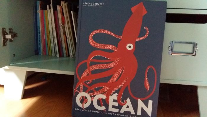 livre enfants curieux océan